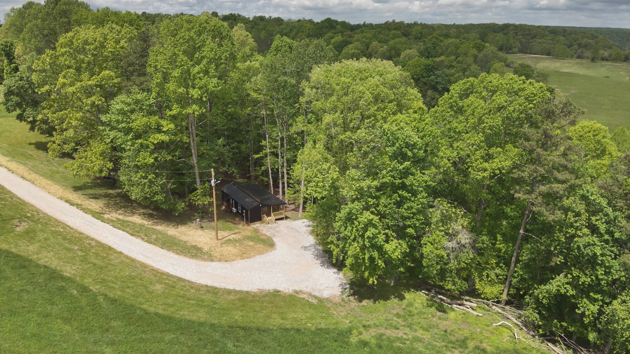 Photo of Outdoor in Gray Hawk