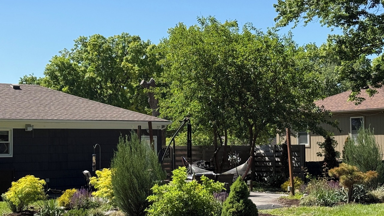 Photo of Outdoor in Waldron