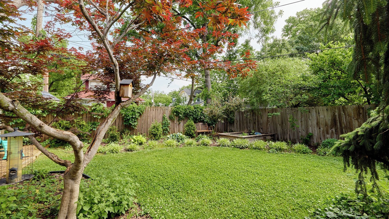 Photo of Outdoor in South Kansas City