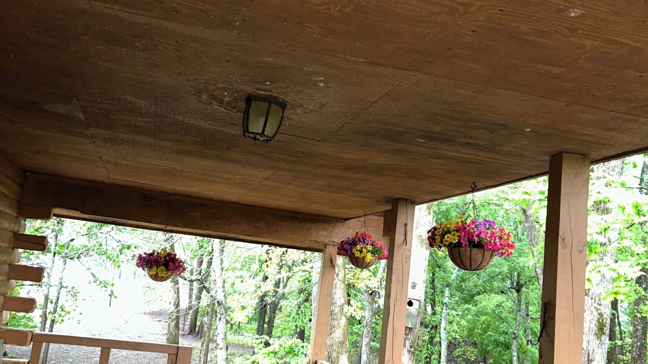 Photo of Outdoor in De Valls Bluff