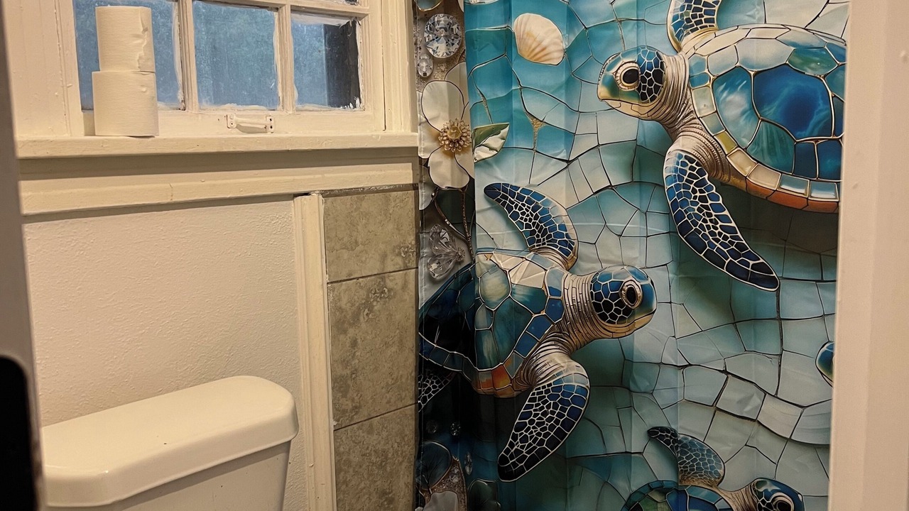 Photo of Bathroom in Capital View