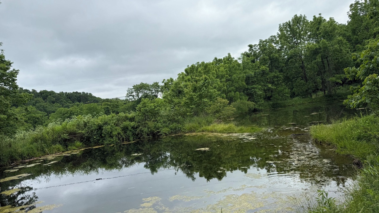 Photo of Others in Elk Creek