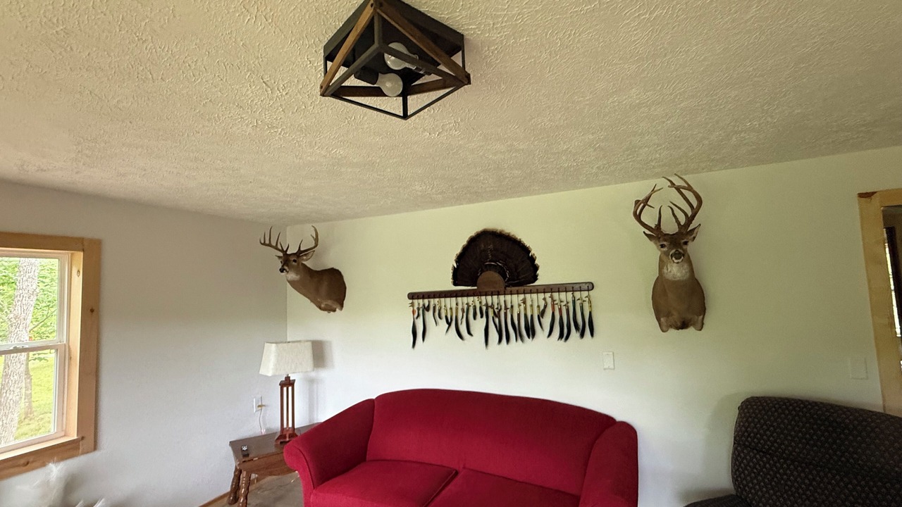 Photo of Livingroom in Elk Creek