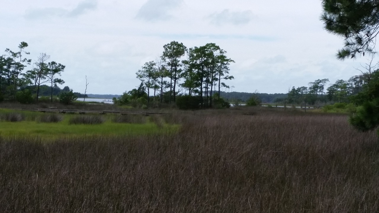 Photo of Others in Beaufort