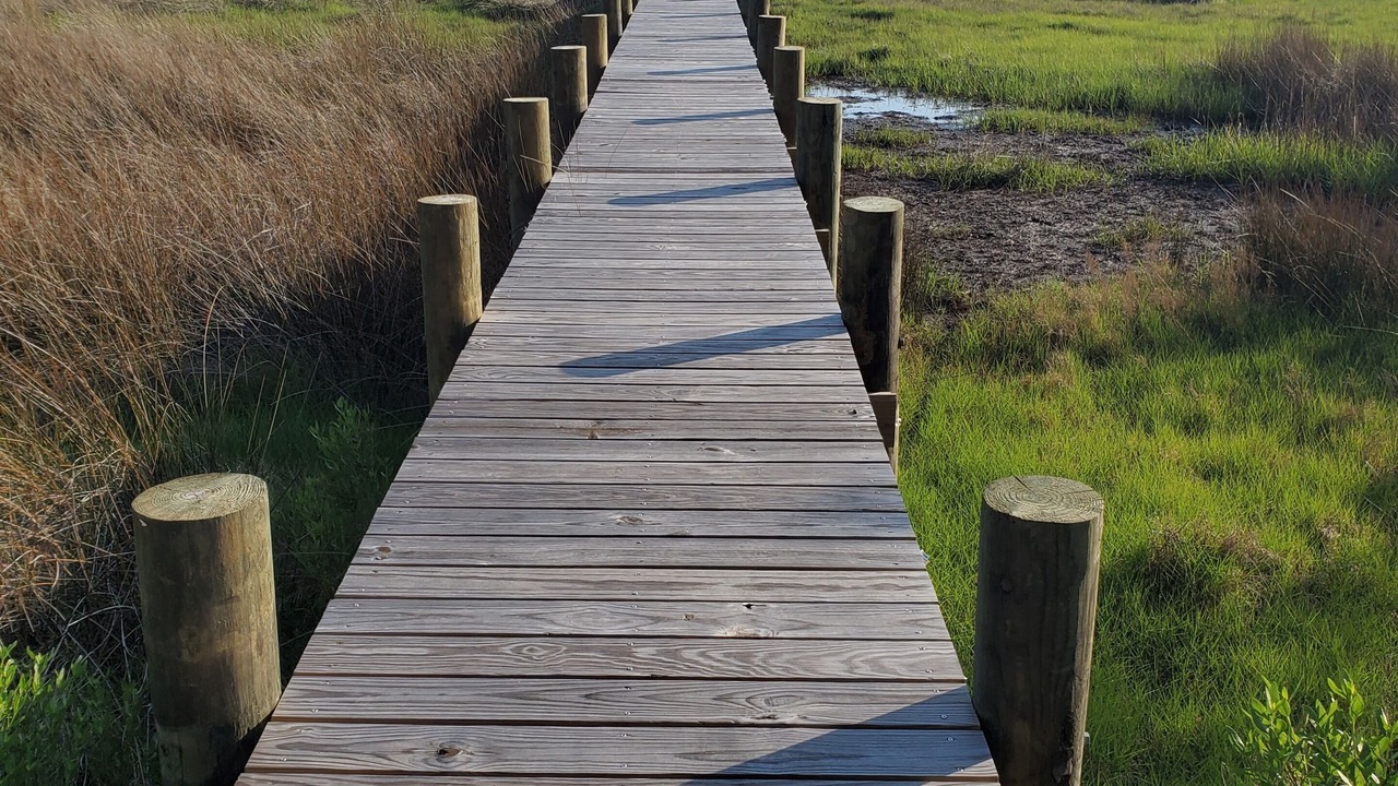 Photo of Others in Beaufort