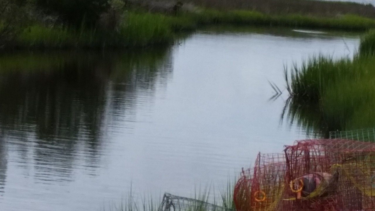 Photo of Others in Beaufort