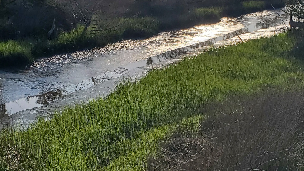 Photo of Others in Beaufort
