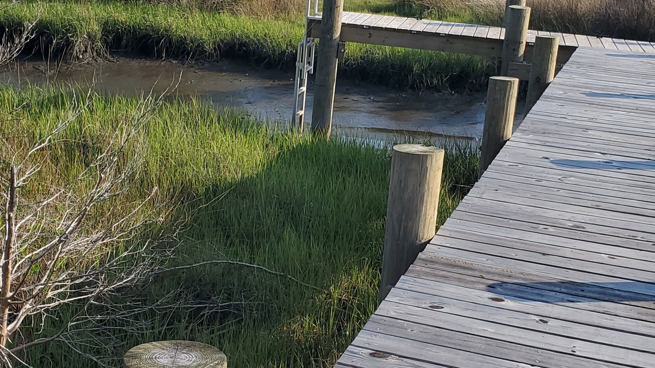 Photo of Others in Beaufort