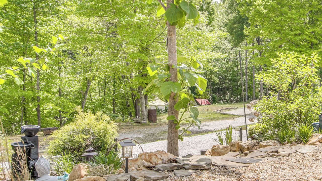 Photo of Outdoor in Rogersville