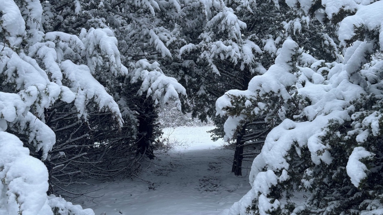 Photo of Others in Chandler