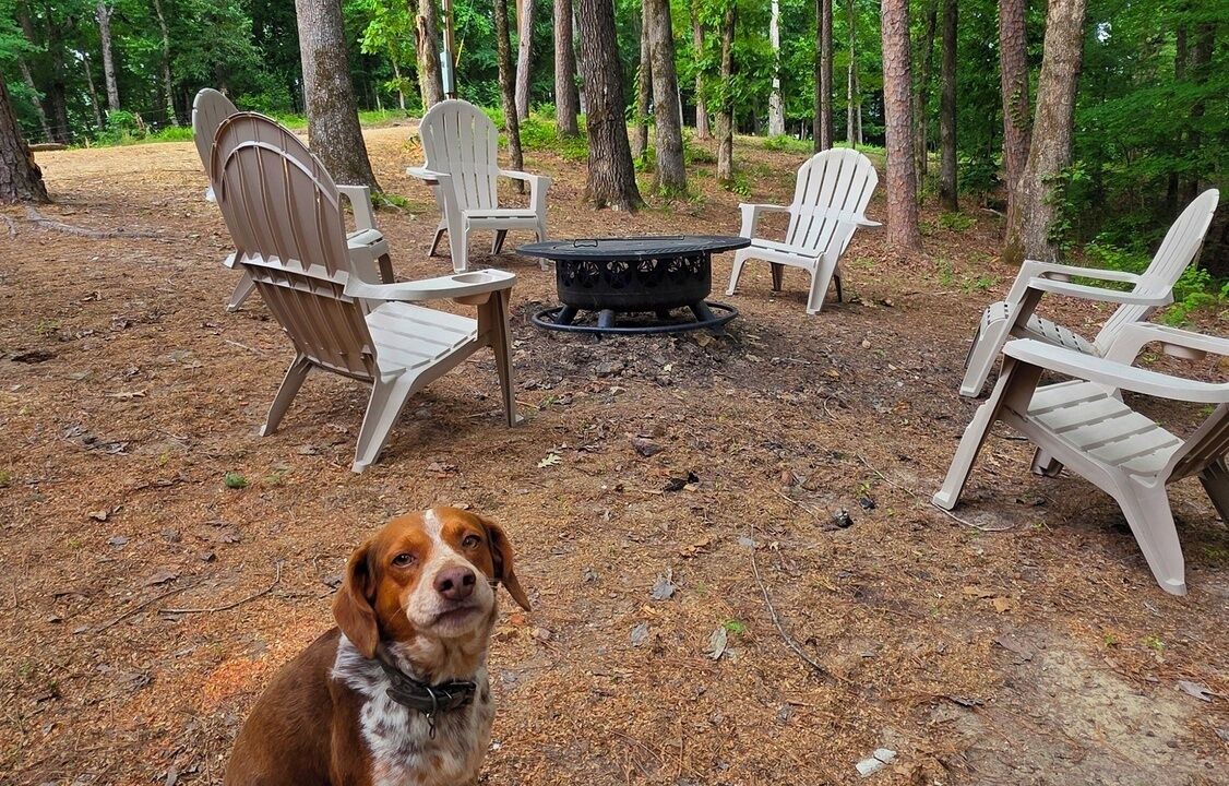 Photo of Others in Caddo Gap