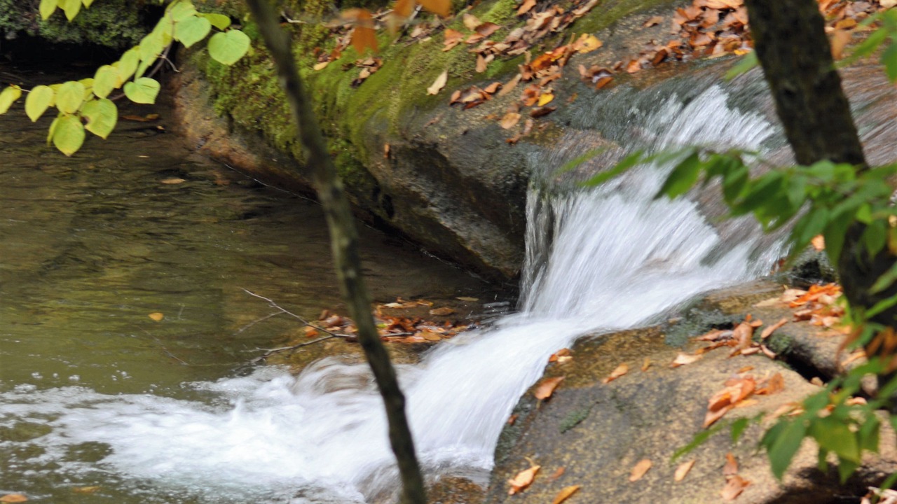 Photo of Others in Hattieville