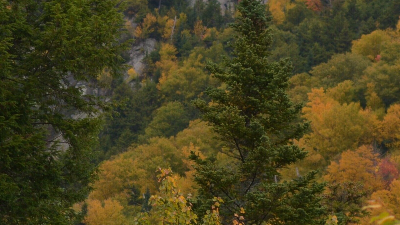 Photo of Others in Hattieville