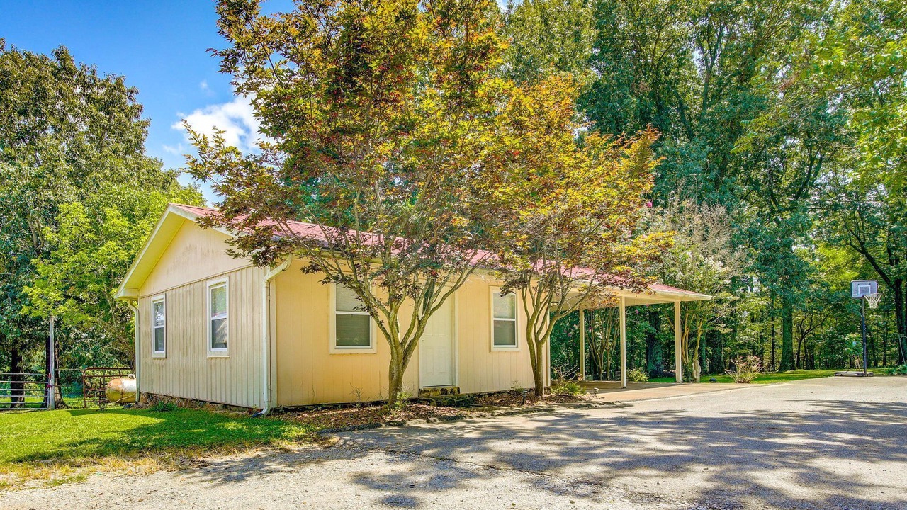 Photo of Outdoor in Fruitvale