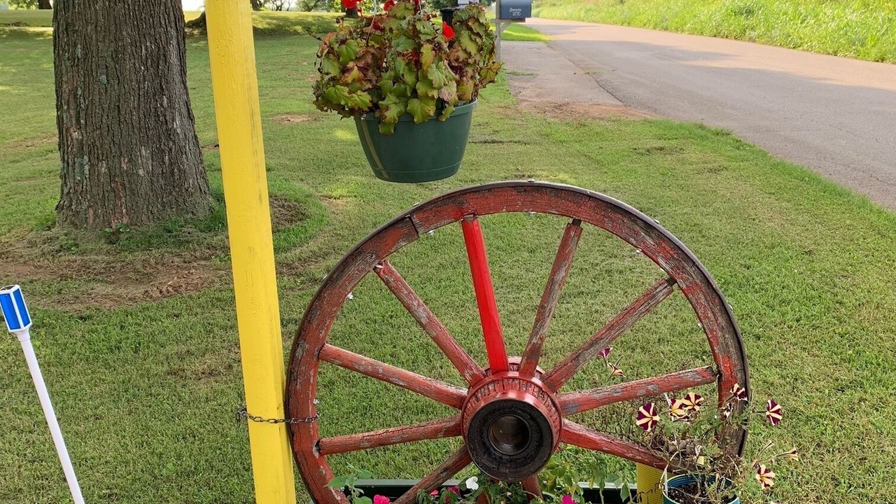 Photo of Outdoor in Cave City