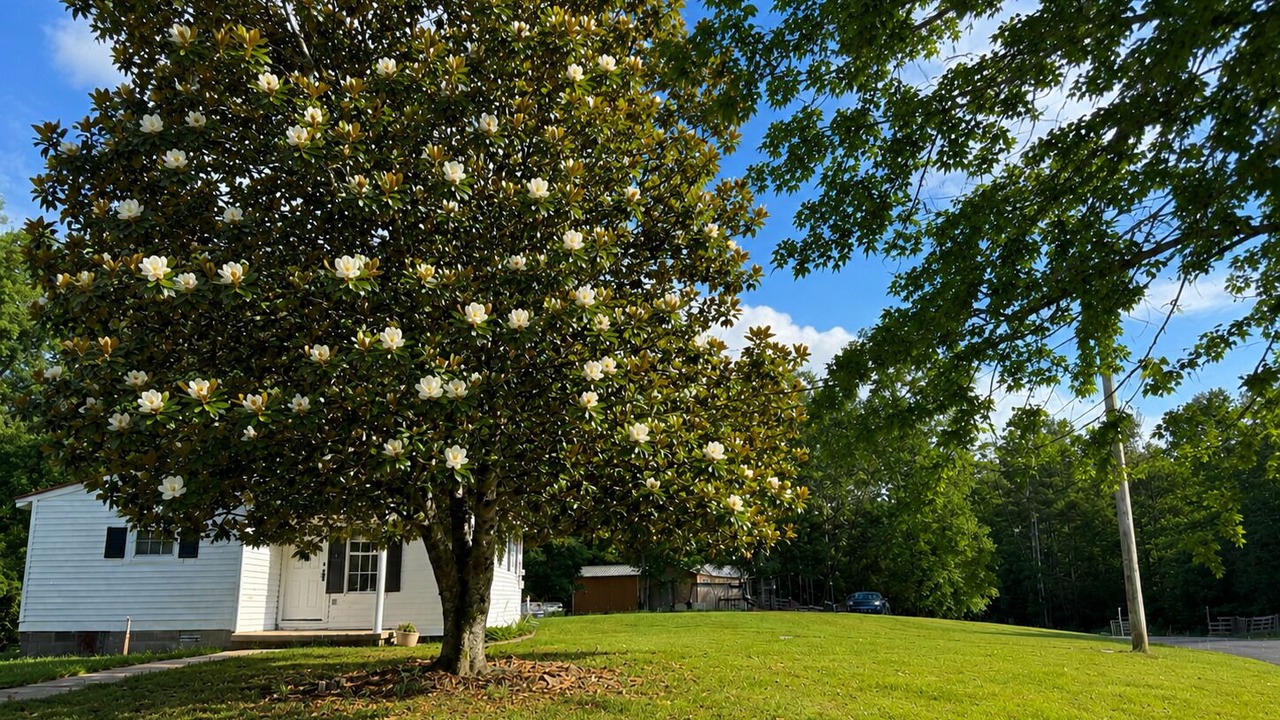 Photo of Outdoor in Pocahontas