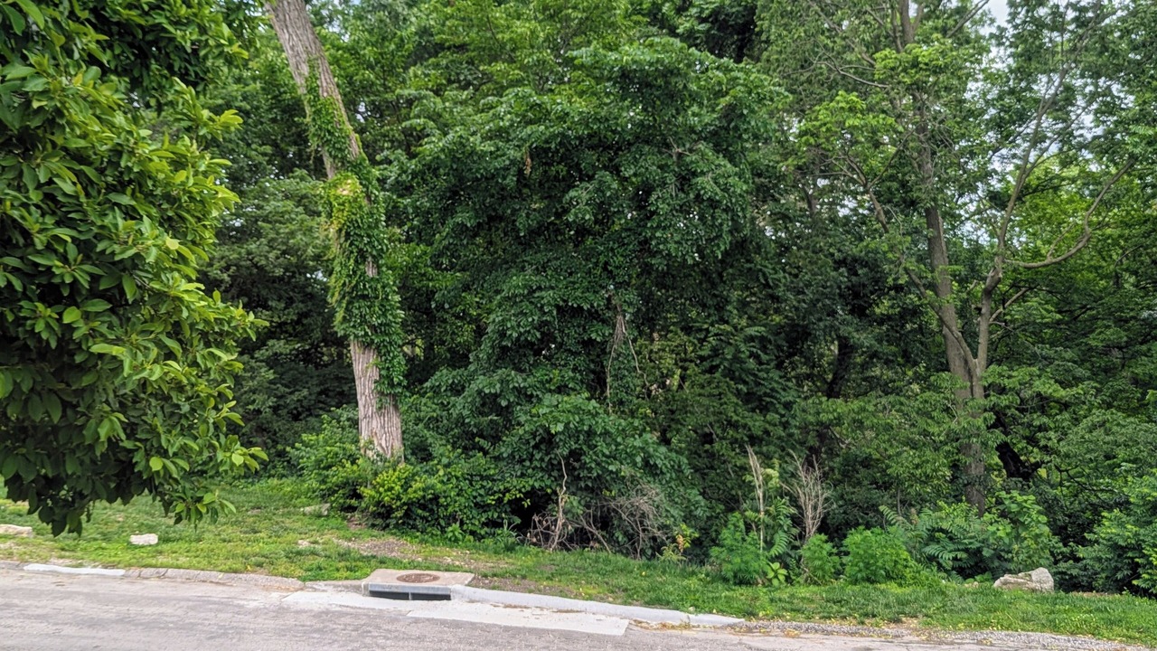 Photo of Others in Pendleton Heights