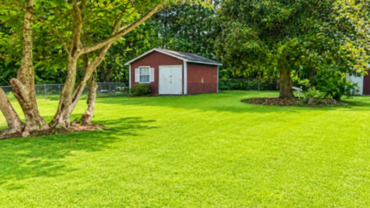 Photo of Outdoor in Piney Green