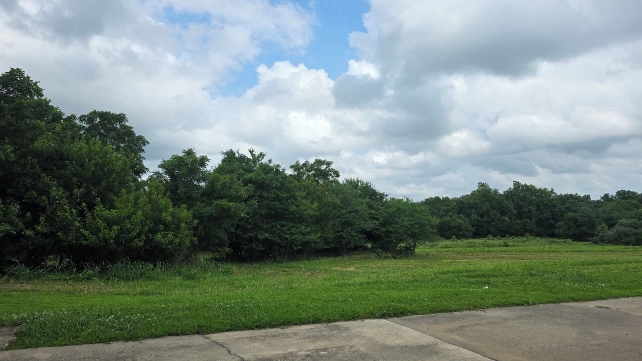 Photo of Others in Bolivar