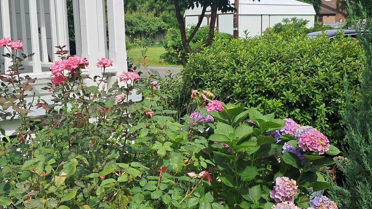 Photo of Outdoor in Oriental