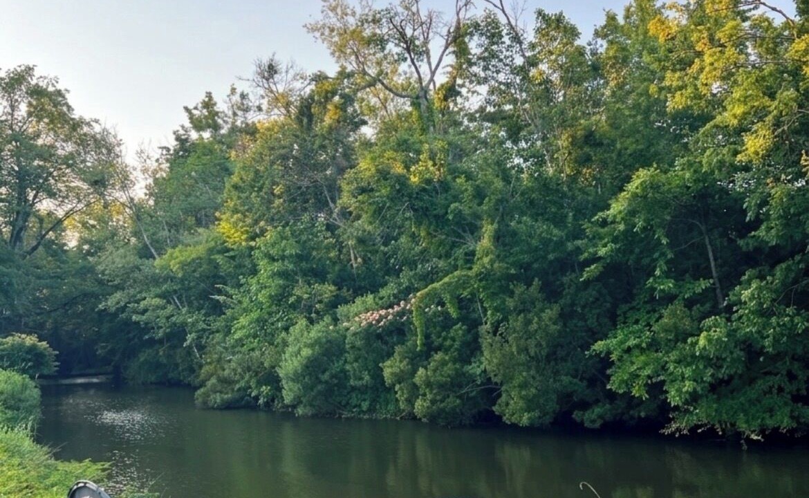 Photo of Outdoor in Piney Green