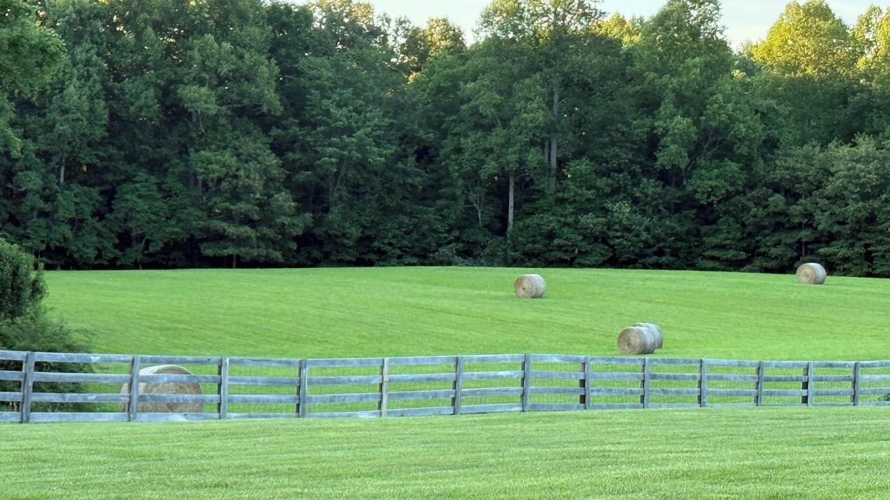 Photo of Outdoor in Corbin