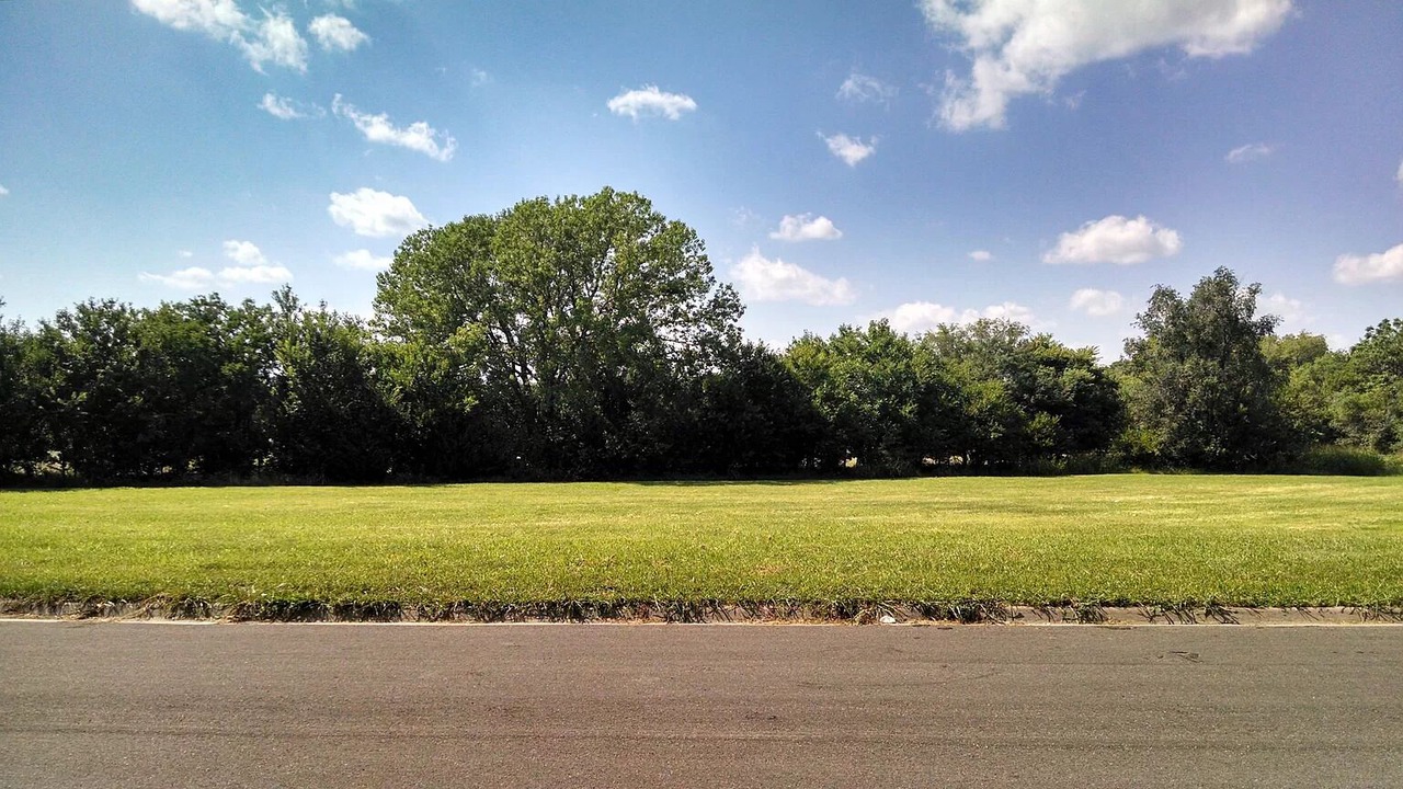 Photo of Others in Newton