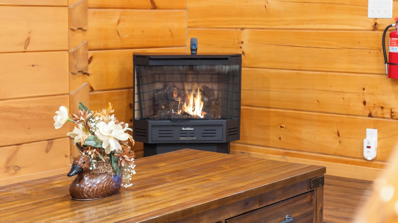 Photo of Livingroom in Kirbyville