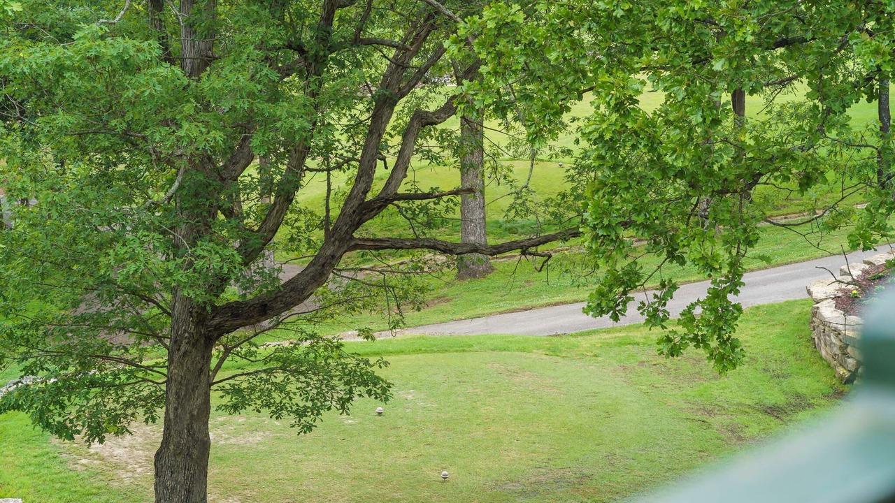 Photo of Others in Branson