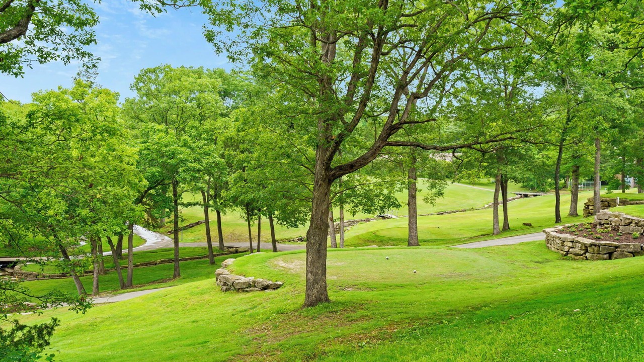 Photo of Others in Branson