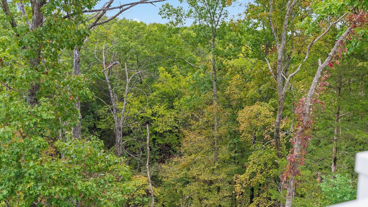 Photo of Others in Branson