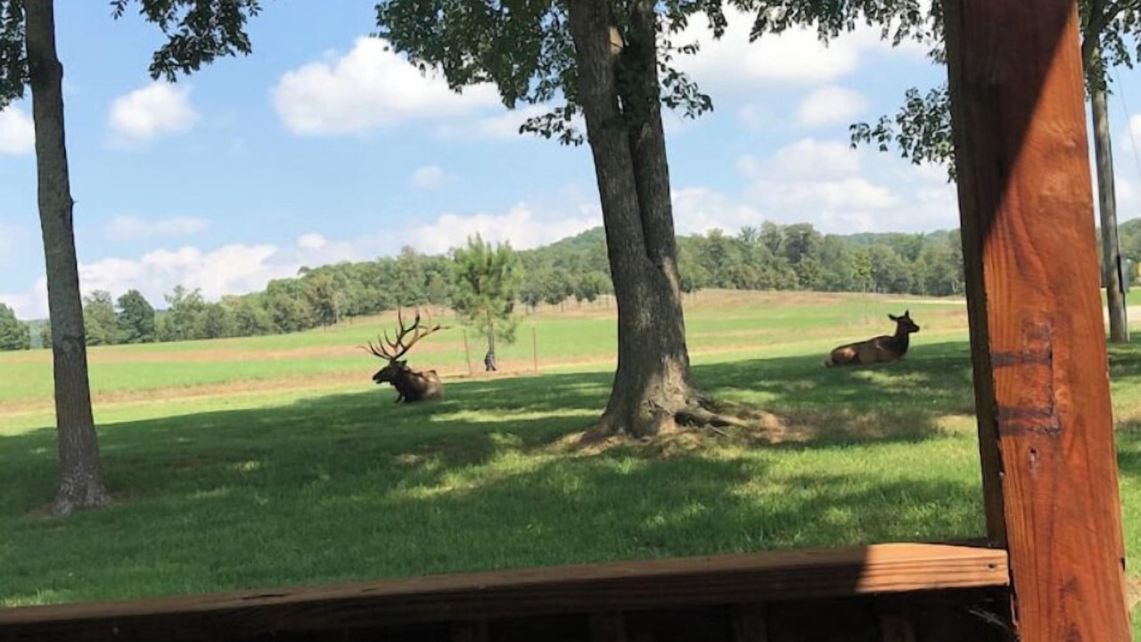 Photo of Outdoor in Stilwell