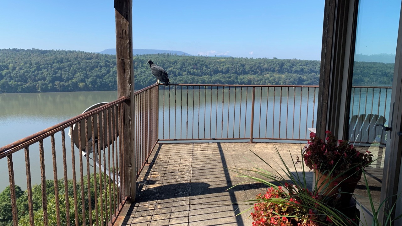 Photo of Outdoor in Russellville