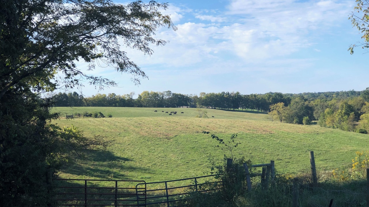 Photo of Outdoor in Fisherville