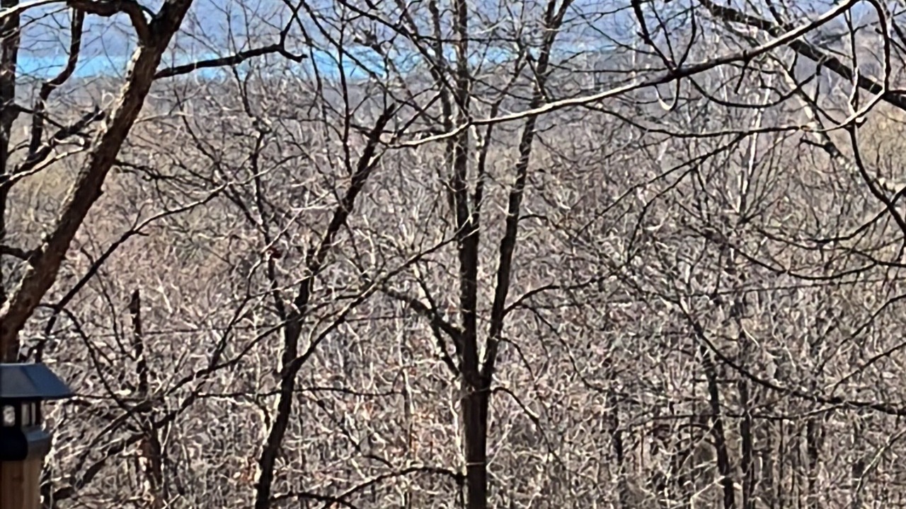 Photo of Outdoor in Cookson