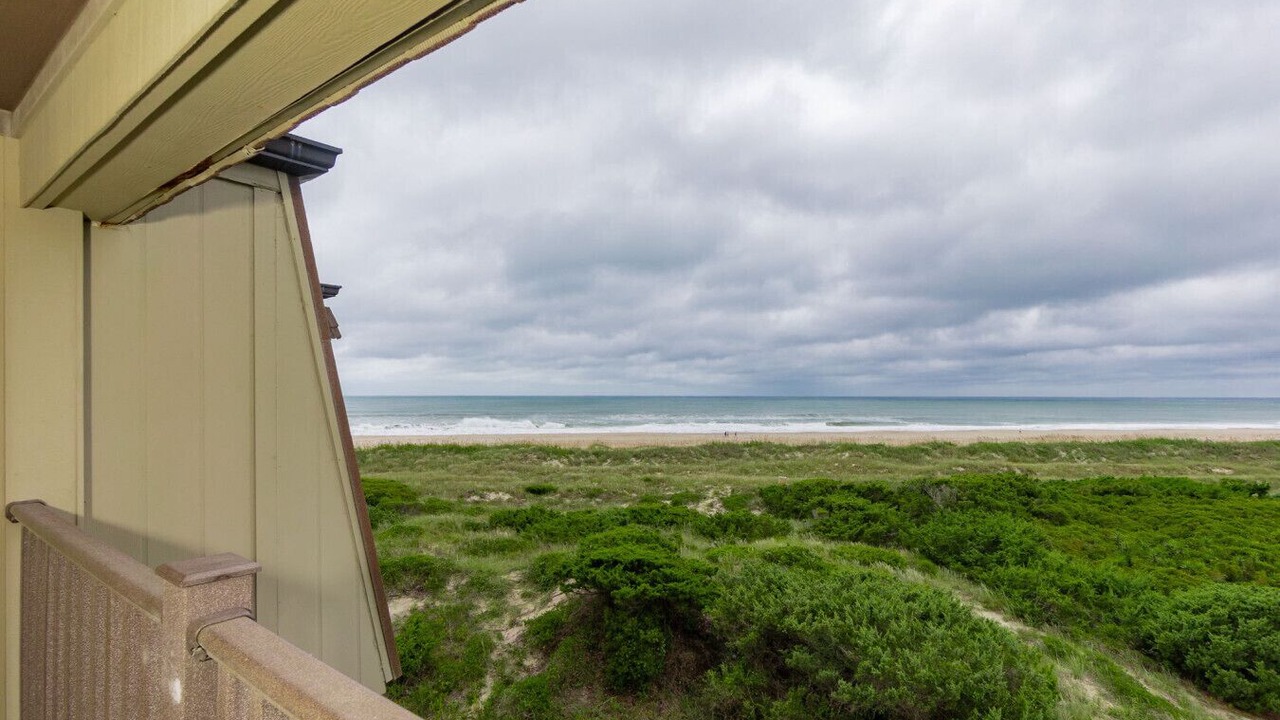 Photo of Outdoor in Morehead City