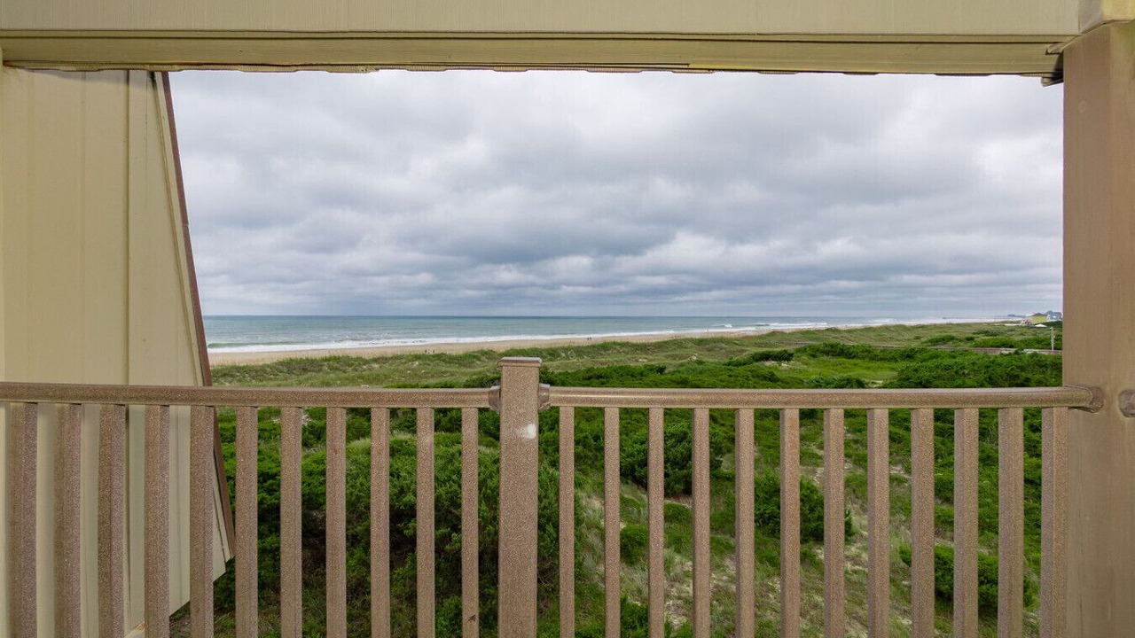 Photo of Outdoor in Morehead City