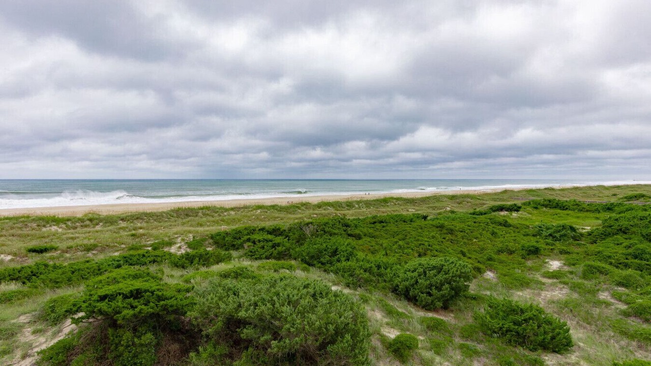 Photo of Others in Morehead City