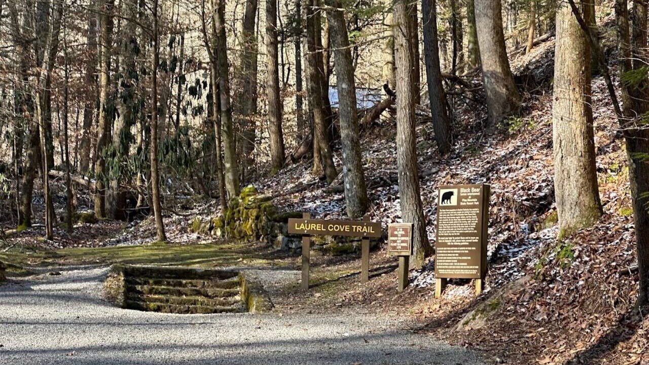 Photo of Others in Fourmile