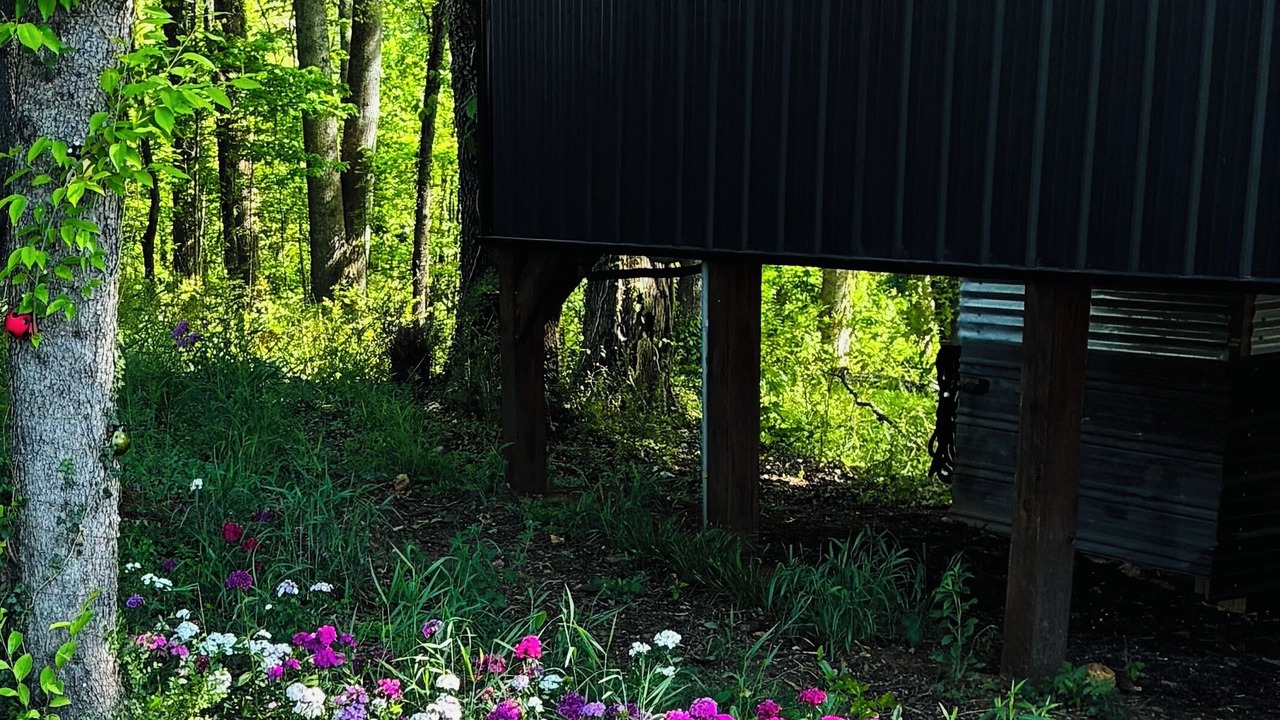Photo of Outdoor in Doyle