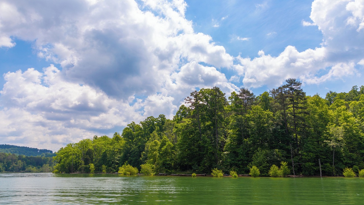 Photo of Others in Big Creek