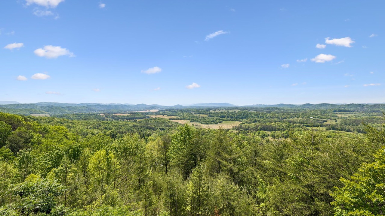Photo of Others in Tellico Plains