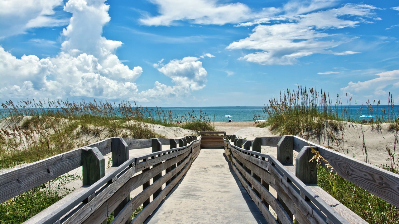 Photo of Others in Morehead City