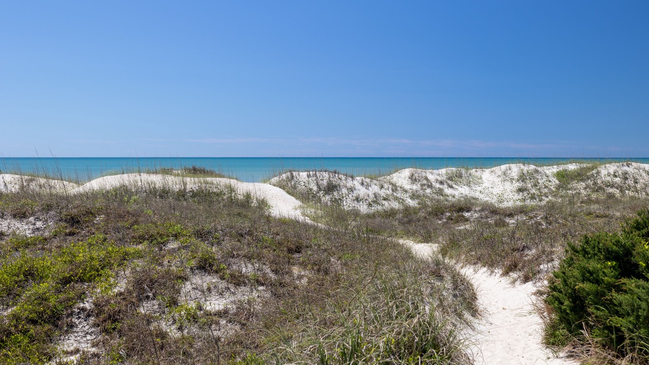 Photo of Others in Morehead City