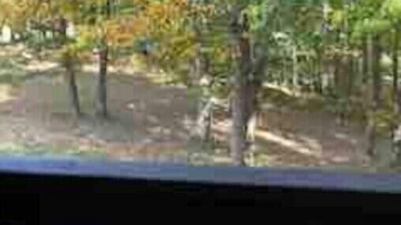 Photo of Outdoor in Means