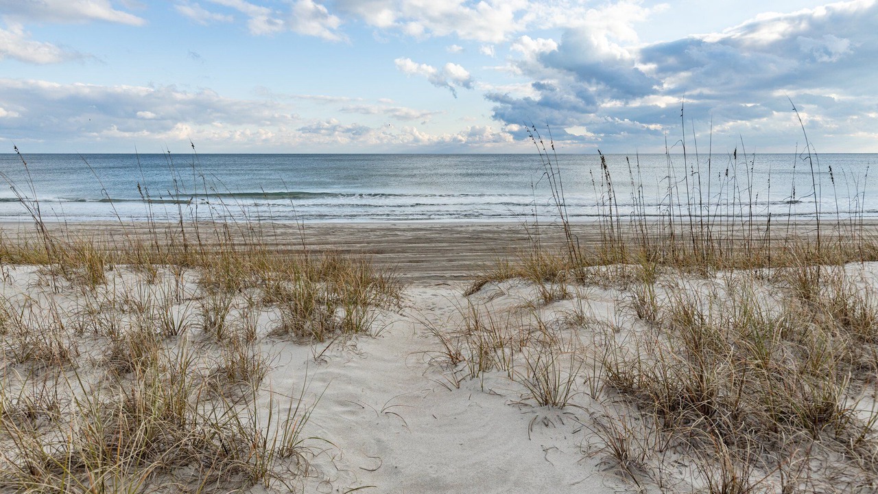Photo of Others in Emerald Isle