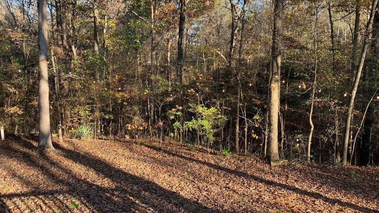 Photo of Outdoor in Iuka
