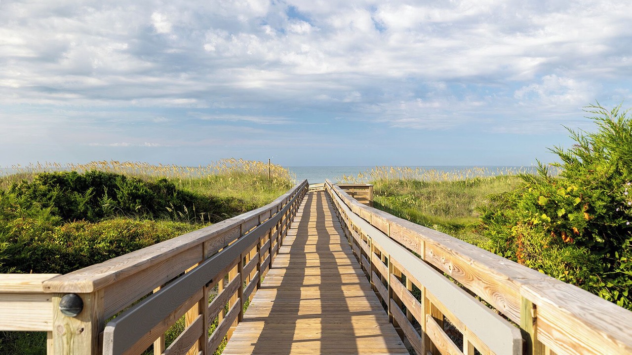 Photo of Others in Morehead City