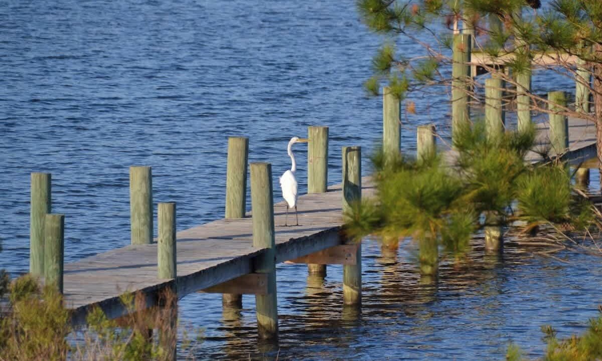 Photo of Others in Smyrna