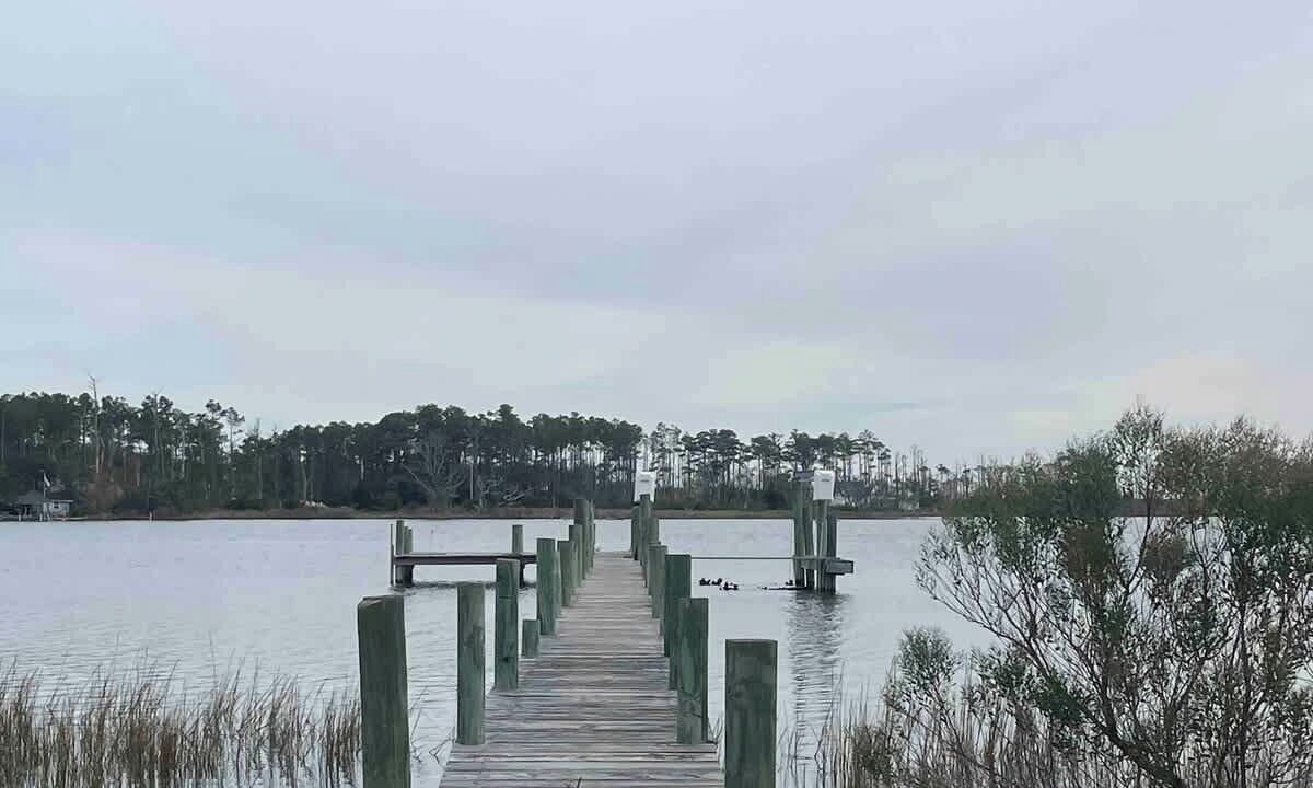 Photo of Others in Smyrna